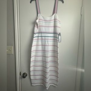 Eva Mendes NY and Company Body Con Dress